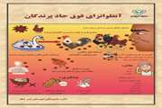 آنفلوانزای طیور